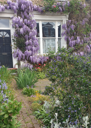 my house
